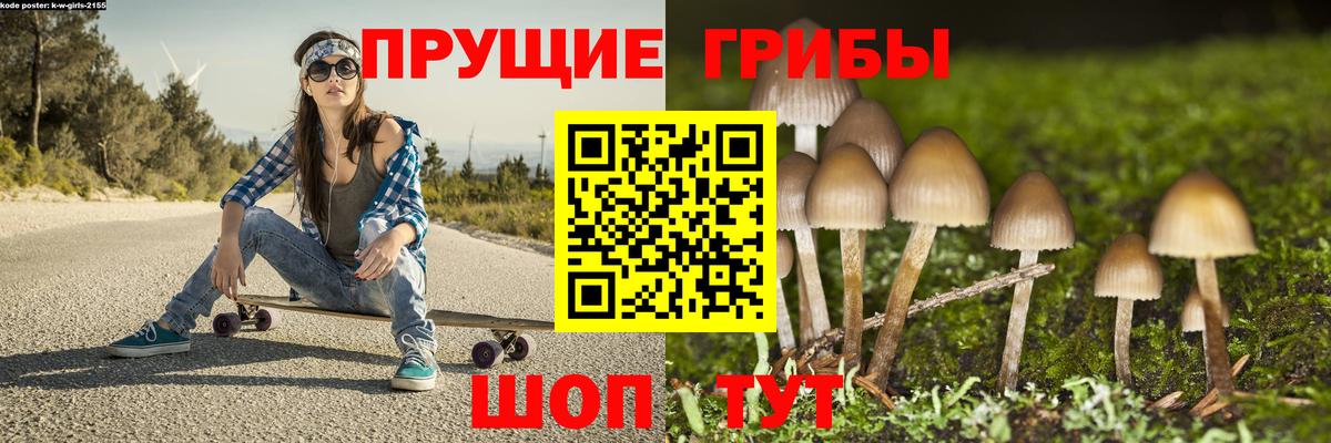 Галлюциногенные грибы мицелий  Вход с VPN  Кузнецк  Псилоцибиновые грибы Cubensis 